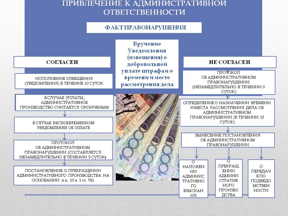 Памятка для начинающего предпринимателя. “Риски привлечения к административной ответственности. Памятка по уплате административного штрафа. Несвоевременное привлечение к административной ответственности. Факт правонарушения.