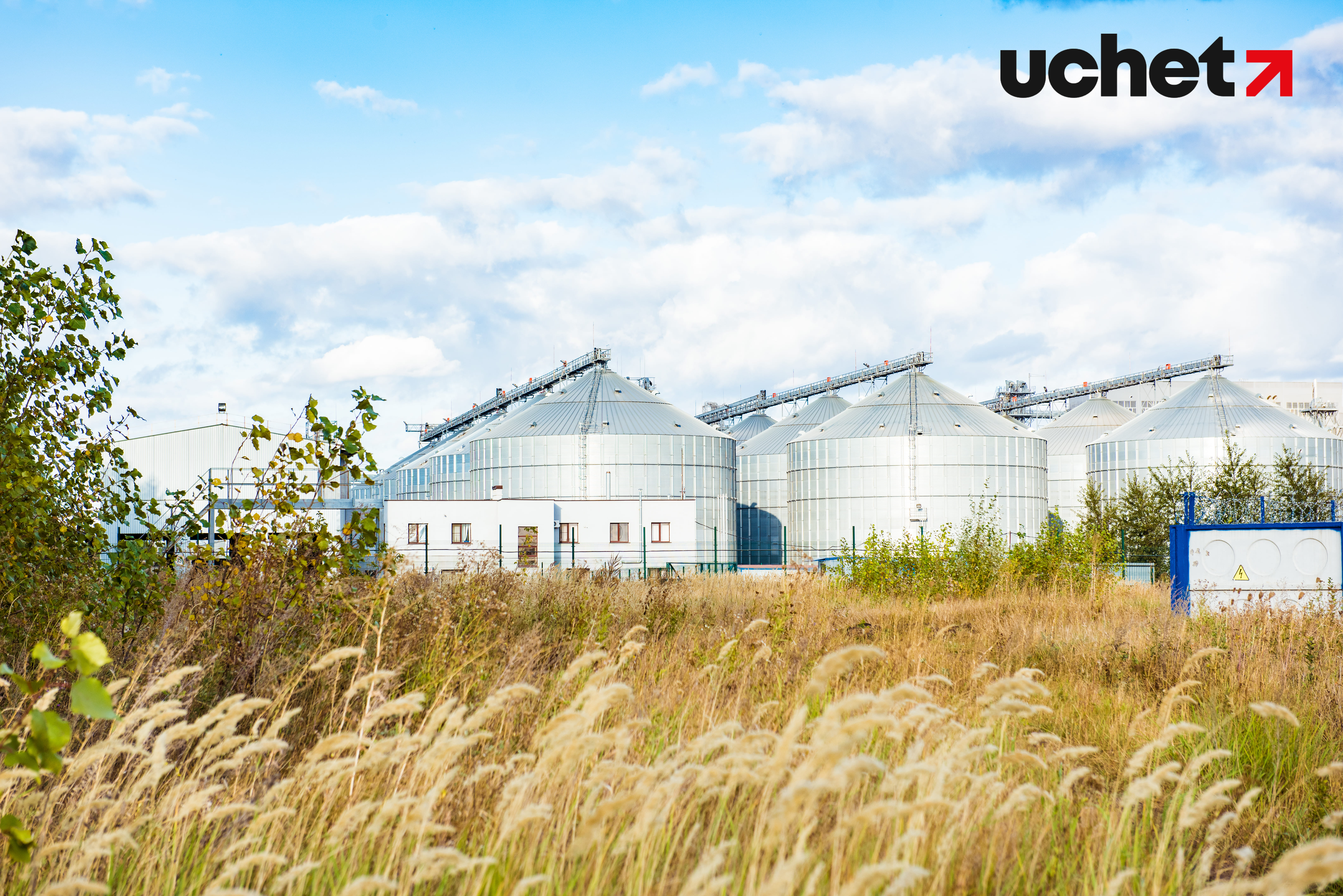 Льготные кредиты для аграриев: Минсельхоз добавил новые направления