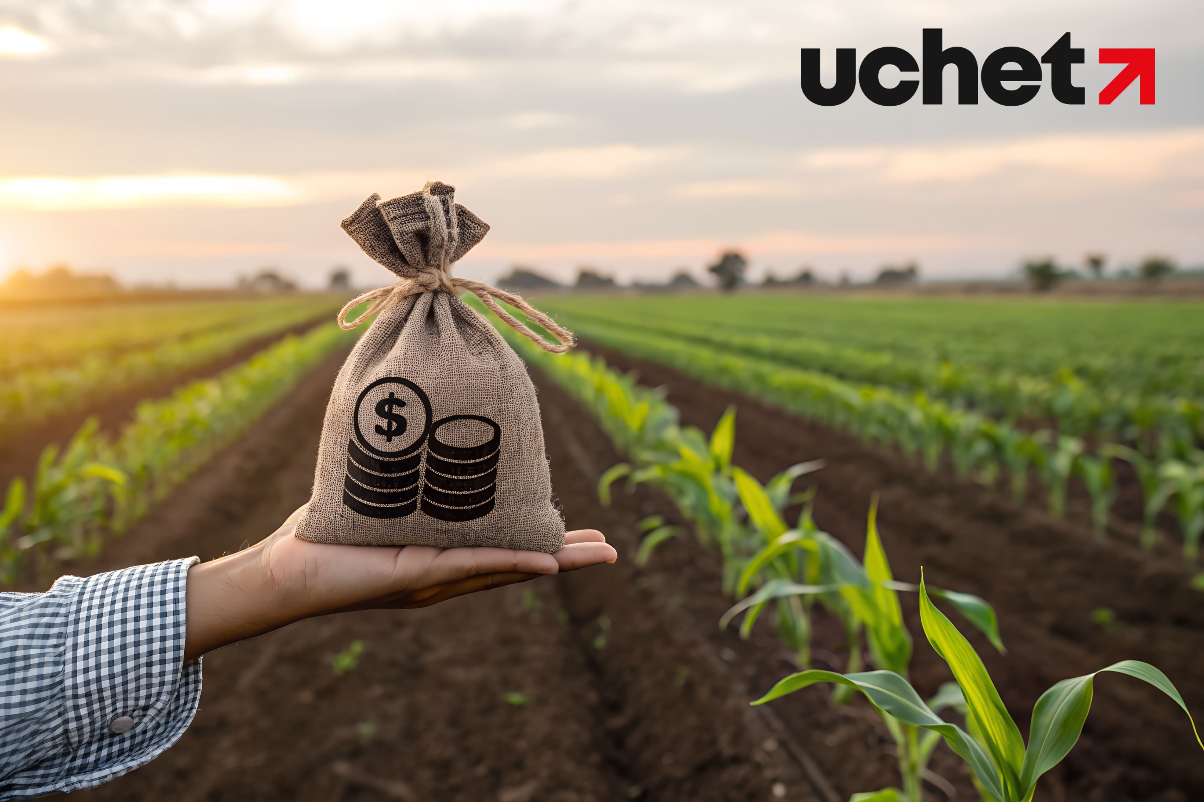 Встречные обязательства для получателей агросубсидий вводят в Казахстане