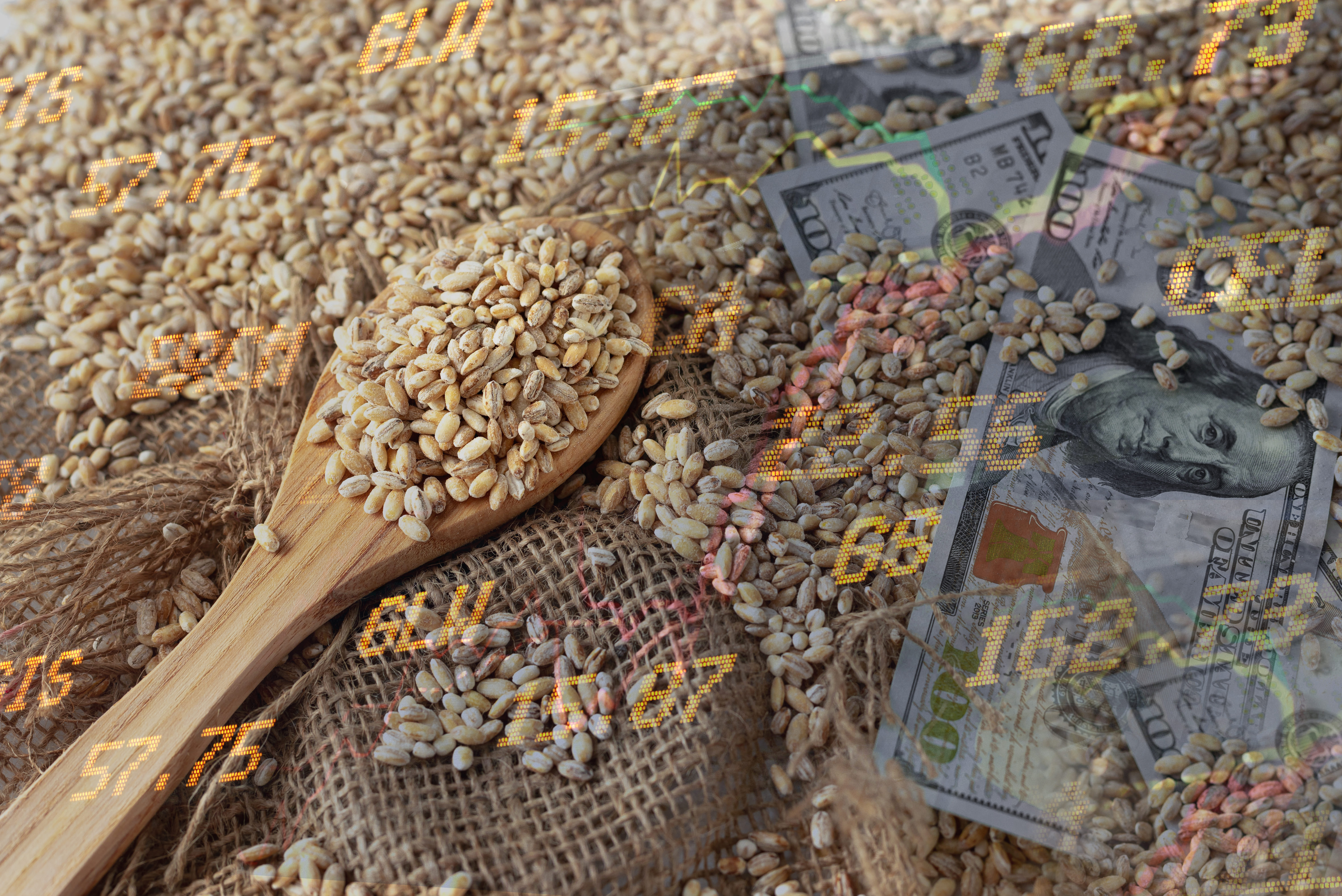 Операторы зернового рынка получили новые полномочия по управлению фуражным фондом