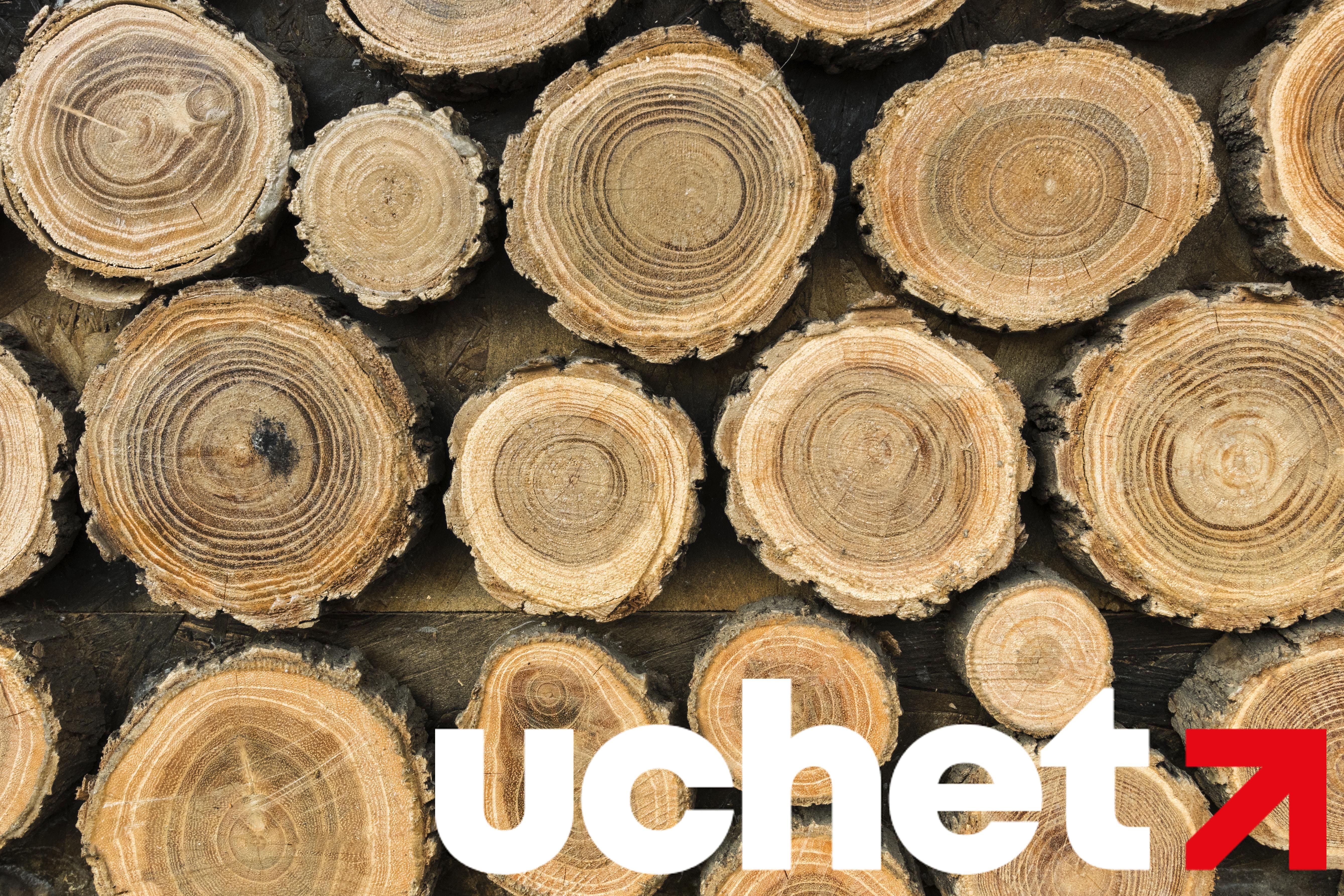 Маркировку древесины введут в Казахстане