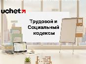Поправки в Трудовой и Социальный кодексы внесут до 1 апреля