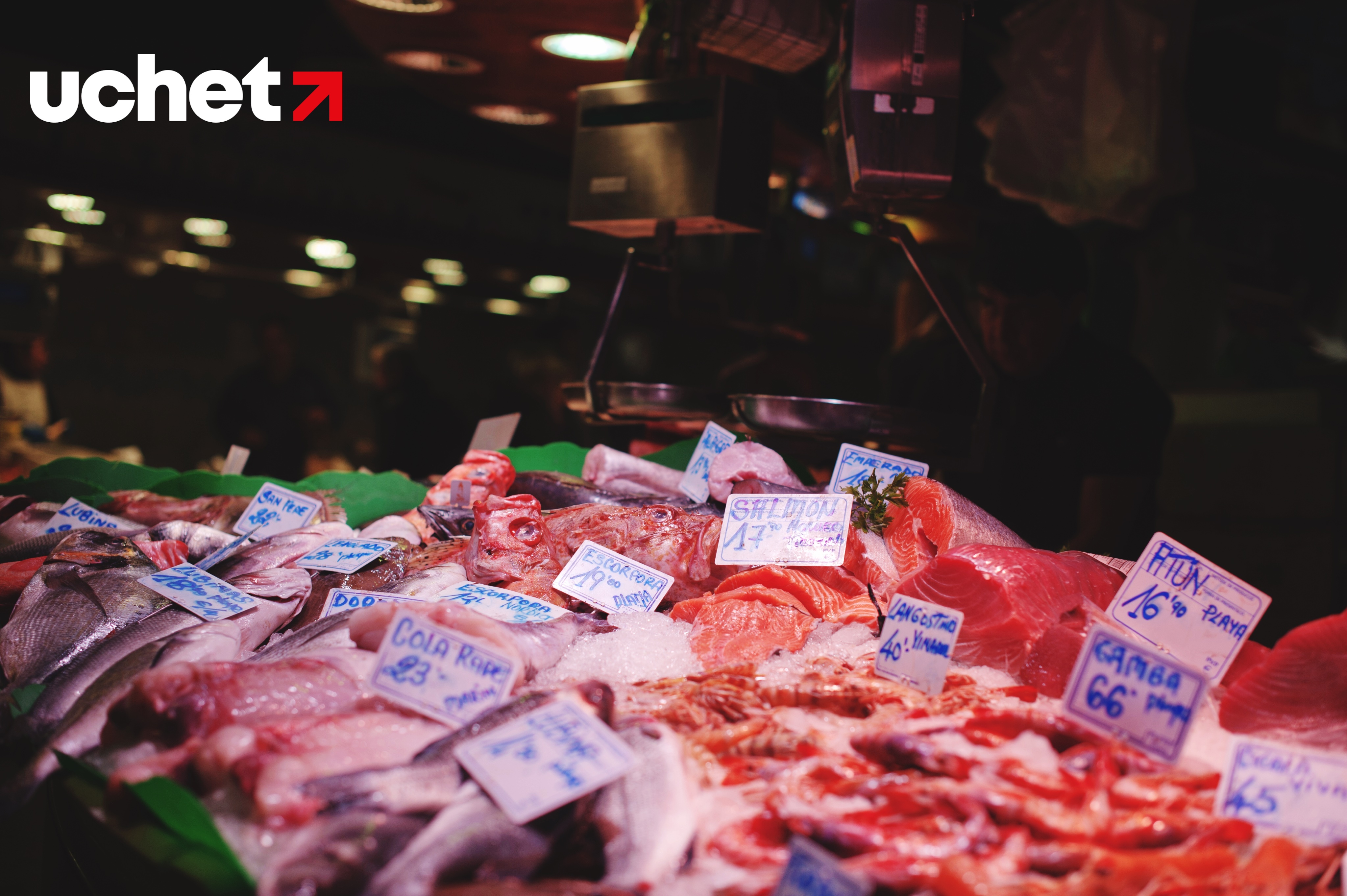 Горячую линию по ситуации с ценами на говядину запустило Минторговли