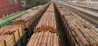 Запрет на вывоз лесоматериала из РК сроком на шесть месяцев вводится с 1 апреля 2021 года