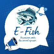 Регистрация в Е-fish стала обязательной для субъектов рыбного хозяйства