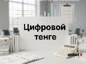 Цифровое тенге с НДС-маркировкой внедрят в госзакупки 
