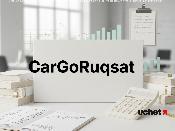 CarGoRuqsat запустят на пунктах пропуска «Кеген» и «Кордай» CarGoRuqsat запустят на пунктах пропуска «Кеген» и «Кордай»