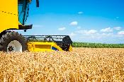 Задолженности по инвестсубсидиям перед сельхозпроизводителями обещают закрыть в текущем году