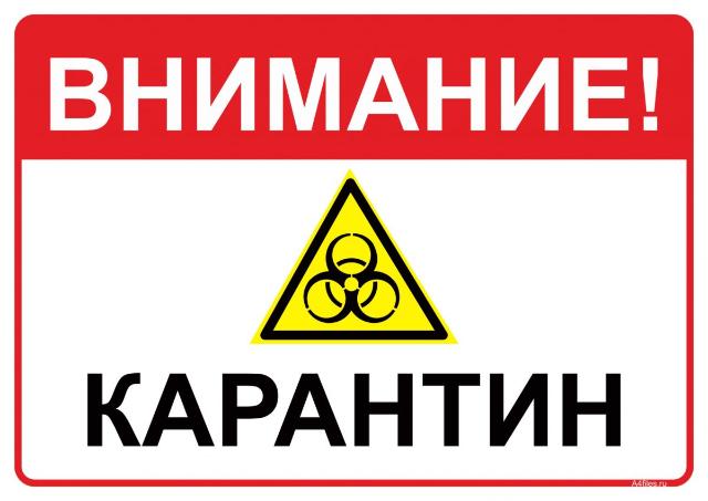 Новые запреты и разрешения в карантин в Алматы с 21 марта 2021 года