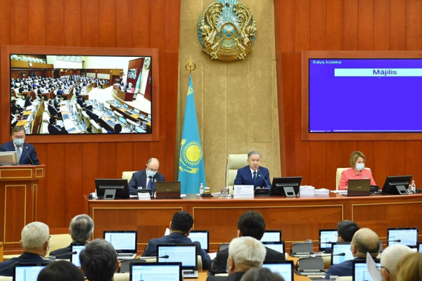 Мажилис одобрил продление срока переходных положений для Кыргызстана и Армении в ЕАЭС
