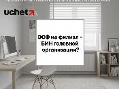 ЭСФ на филиал: обязательно ли указывать БИН головной организации?