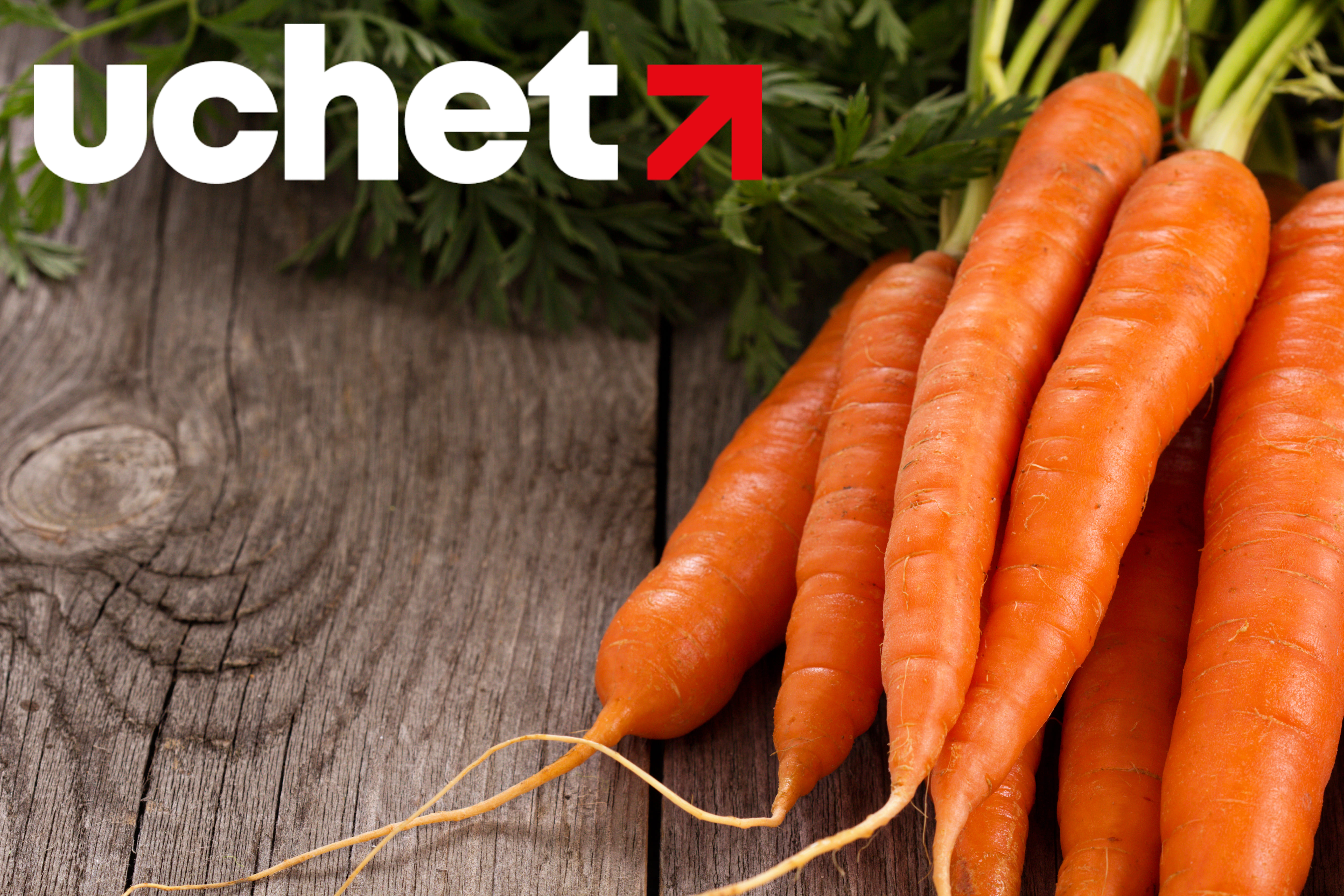 Вывоз моркови запретят на 3 месяца в Казахстане