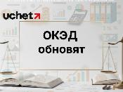 ОКЭД обновят: для магазинов у дома выделят отдельную категорию