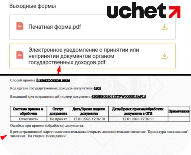 Прекращение деятельности в КНП ИСНА пошаговая инструкция.png