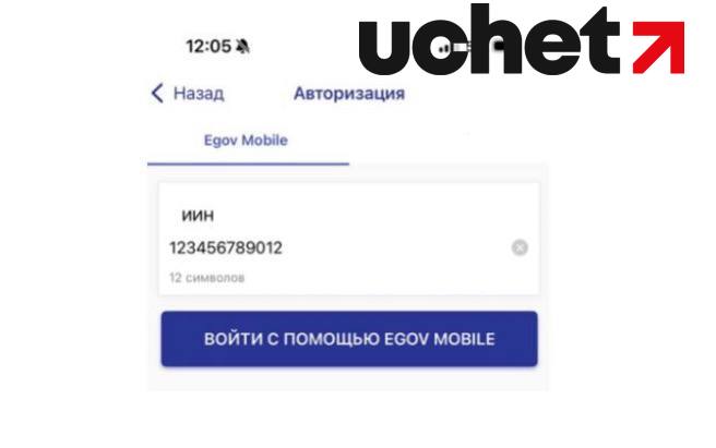 Инструкция по авторизации в мобильном приложении esalyq business