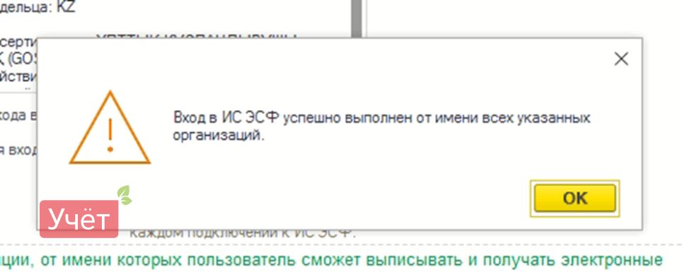 WhatsApp Image 2024-08-21 at 17.52.14.jpeg