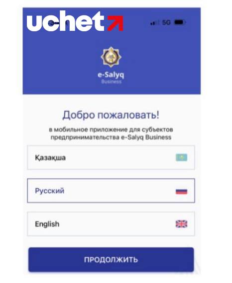 Инструкция по авторизации в мобильном приложении esalyq business