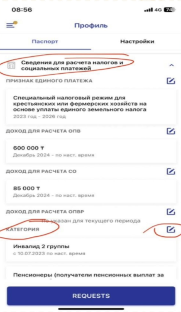 Приложение E-Salyk Business.png