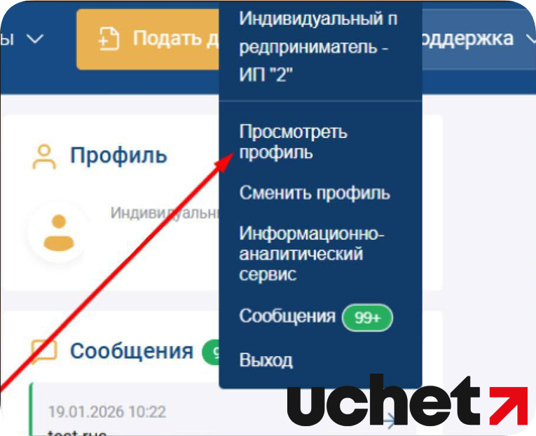 Пошаговой инструкцией по просмотру профиля плательщика НДС.png