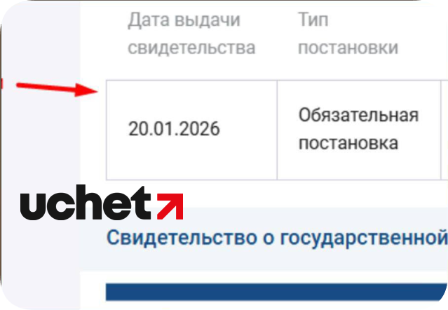 Пошаговой инструкцией по просмотру профиля плательщика НДС (4).png