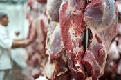 Объявлен прием заявок на распределение квот на ввоз мяса КРС для переработчиков 